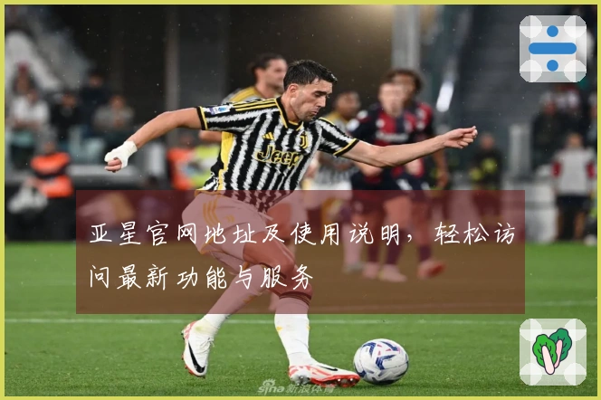 亚星官网地址及使用说明，轻松访问最新功能与服务