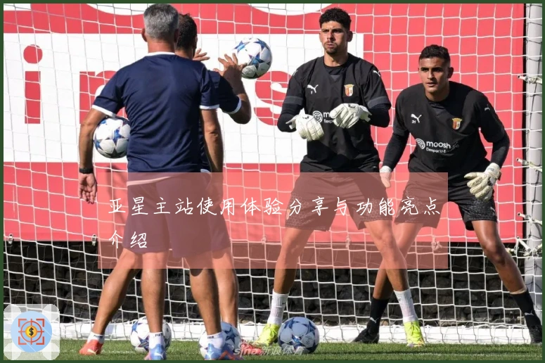 亚星主站使用体验分享与功能亮点介绍